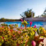 Villa Arton Heated Swimming-Pool Villa *