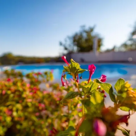 Arton Heated Swimming-pool Villa *