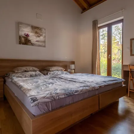 Villa Arton Heated Swimming-pool Žminj