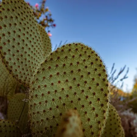 Arton Heated Swimming-pool Villa