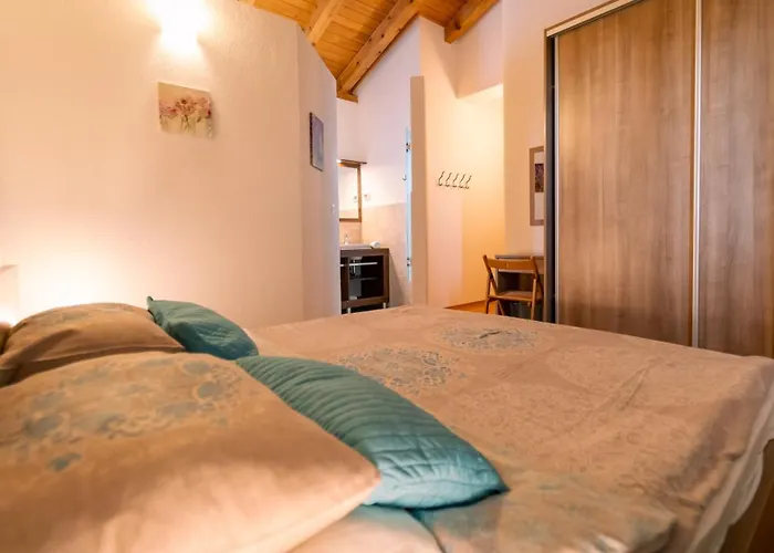 Arton Heated Swimming-pool Zminj