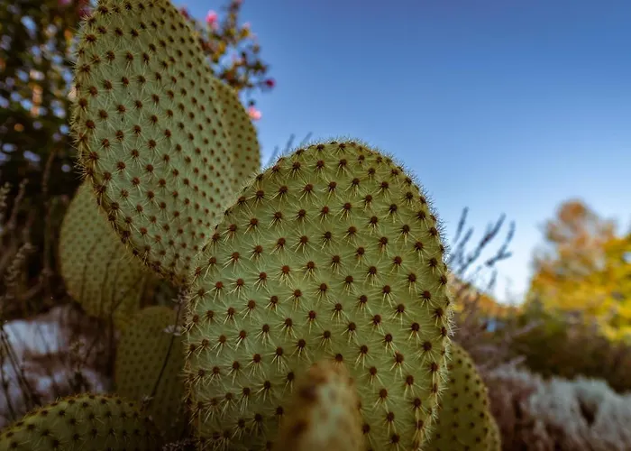 Arton Heated Swimming-pool Вилла